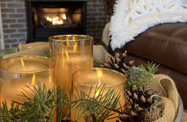 Romantic Private Getaway! Hot tub, Fireplace and Views!