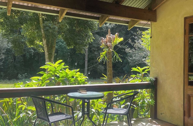 Romantic Rainforest Rockpool Cabin in beautiful Currumbin Valley