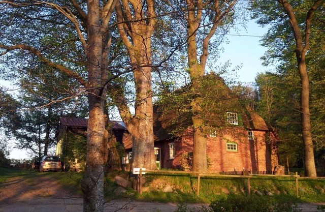 Romantic thatched roof house