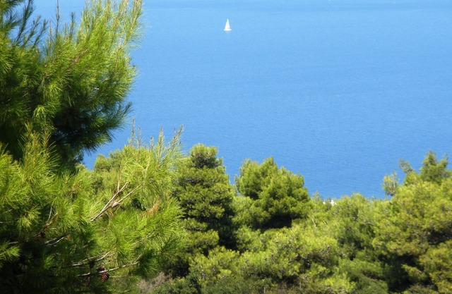 Romantic Villa, panoramic sea view & explore Athens