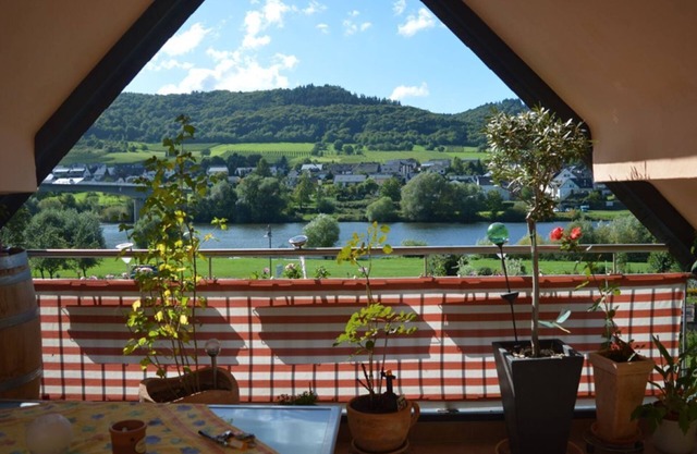 Romantic winegrower's house with Moselle view/sole use