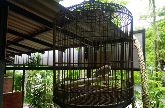 Rommai Plai Tawan Trang