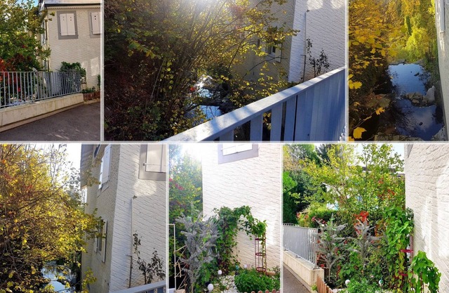 roof terrace above the birds