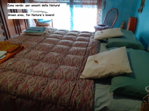 Room country-lake