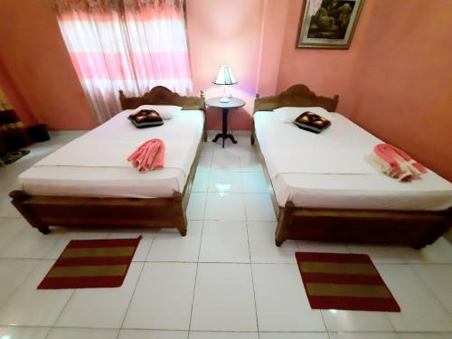 Room & Free Safari Tour (4hour)