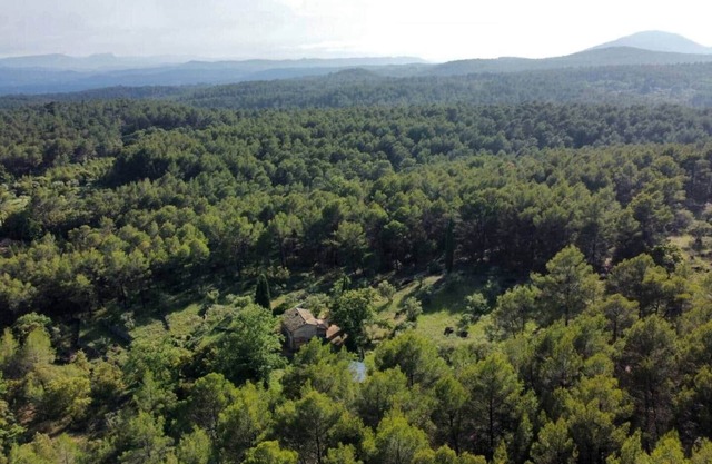 Room in a Provençal bastidon