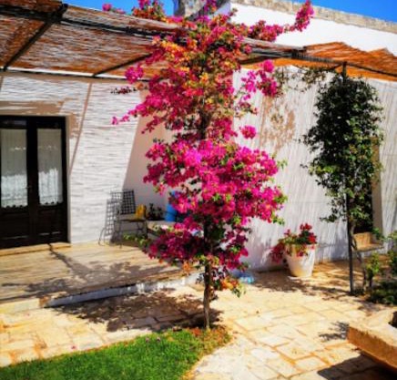 Room in BB - Spacious double room in ancient Masseria near the sea in a quiet olive trees