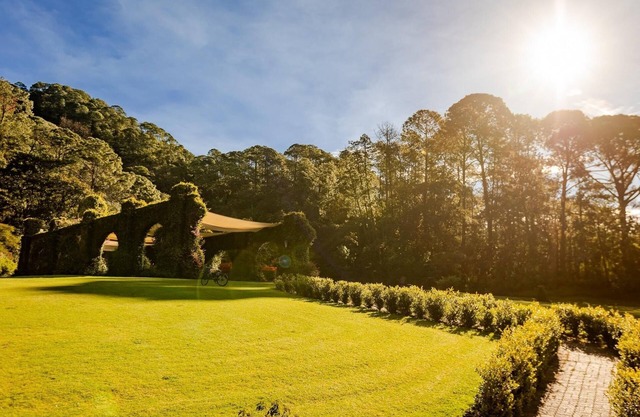 Room in paradise between the sierra madre forest and Lake Juanacatlan.