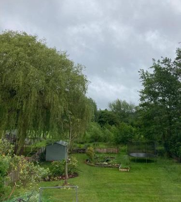 Room with a View