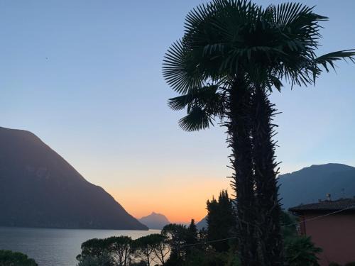 Room with a View
