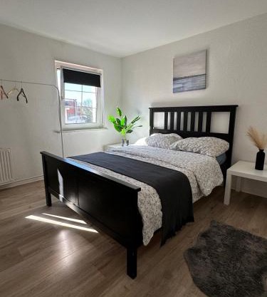 Rooms in Dresden