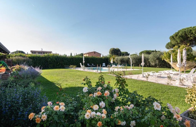 Rosa di Assisi