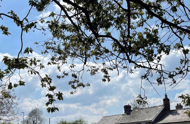 ROSE COTTAGE, pet friendly, character holiday cottage in Abergavenny