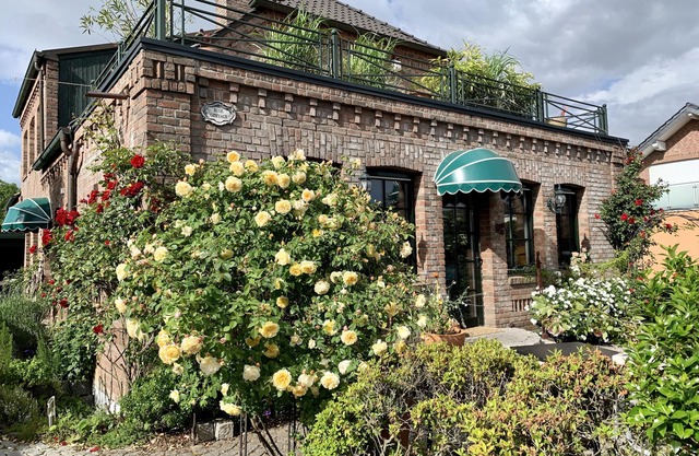 Rose Cottage - relax and unwind.