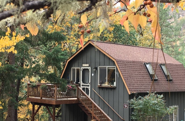 Rosie's Woodland Paradise! Come relax and rejuvenate!