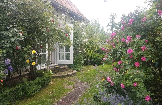 Rosindell-cottage