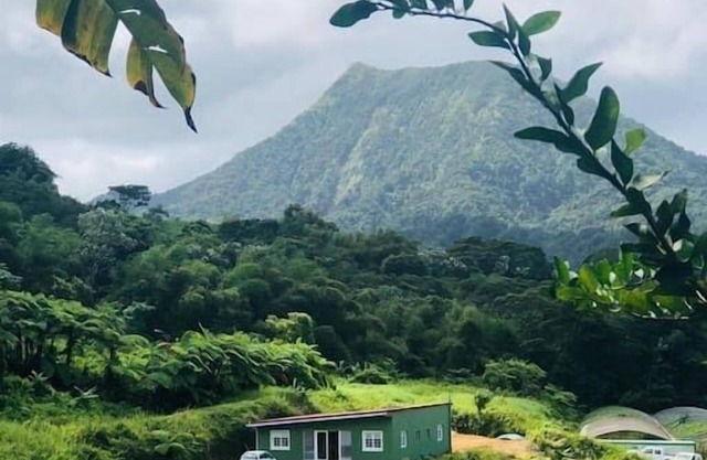 Roucou room in the heart of nature, view of Mont Pelée