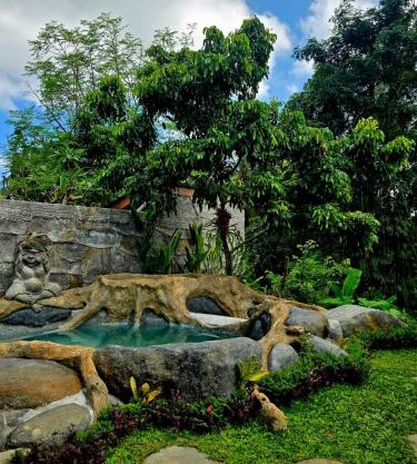 Royal Amertha Ubud Jungle View