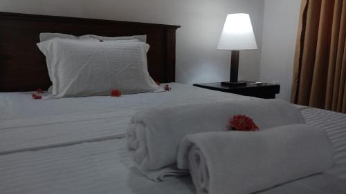 Royal Homestay cozy 2 bedroom house with all the facilities