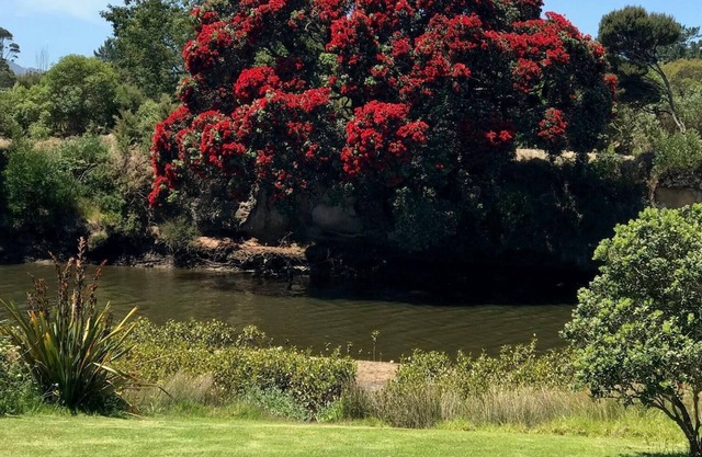 Ruakaka River and Beach Apartment