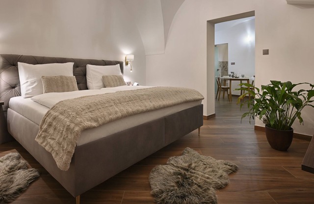 Rudolf II (Single Bedroom Apartment)