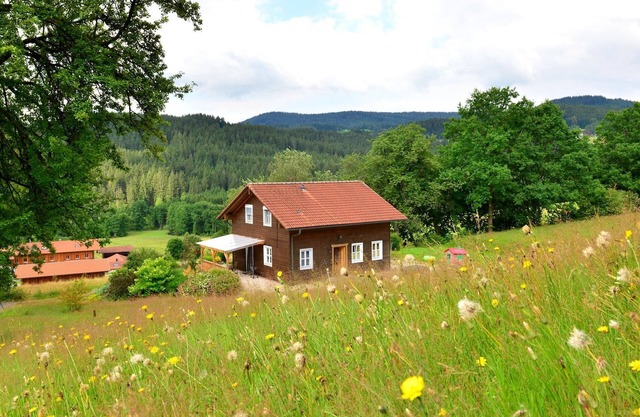 Ruhiges Ferienhaus in Drachselsried in Waldnähe