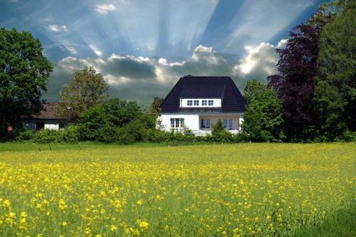 Ruhige Ferienwohnung mit Waldblick