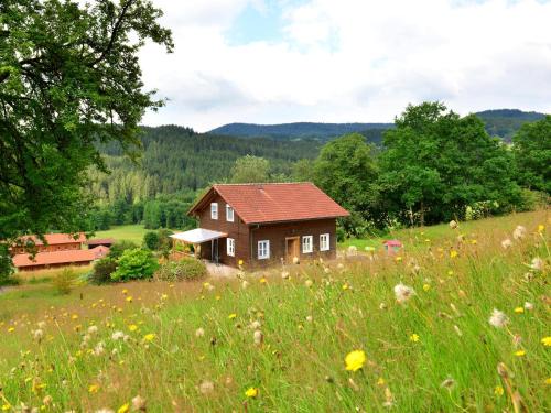Ruhiges Ferienhaus in Drachselsried in Waldnähe