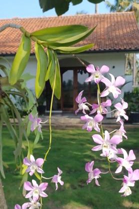 Rumah Markisa Batukaras