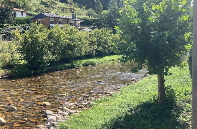 RURAL APARTMENT ASTURIAS