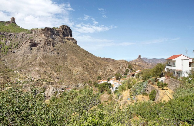 Rural House (Canary Islands)