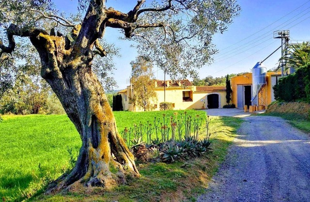 Rural house (full rental) Mas Hortus for 13 peopleOffers