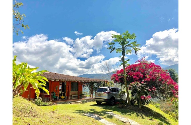 Rural house with natural pool to connect with nature