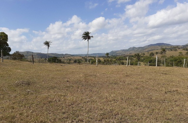 Rural tourism, five kilometers from the city of Boca da Mata. Ecological environment
