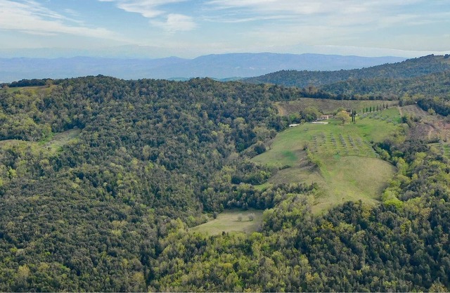 Rustic accommodation in nature for four people with pet in the middle of Tuscany.