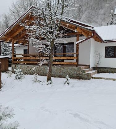 Rustic Home