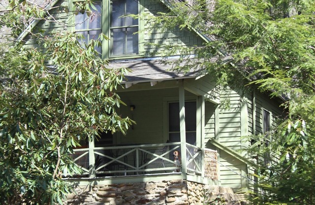 Rustic Mountain Joy in 1914 Cabin