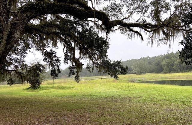 Rustic Retreat: Ranch Home with 40 Private Acres and Covered Patios n