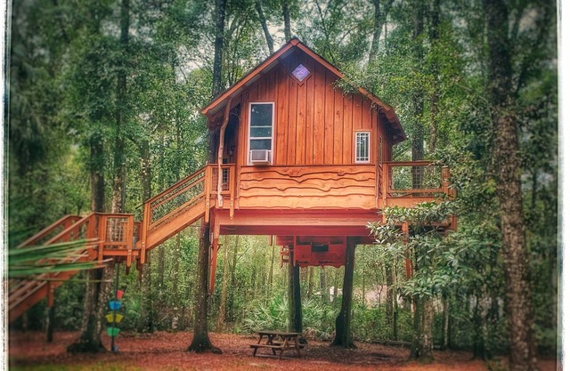 Rustic Treehouse and Cabin Retreat Near the Suwannee River