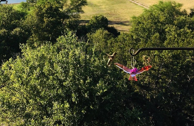 RV GLAMPING DIRECTLY ON LAKE TRAVIS- NEAR HIDDEN FALLS ADV. PARK (2021 RV)