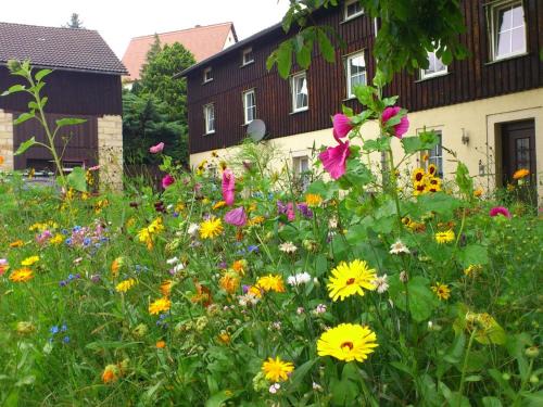 Sächsischer Familienurlaub, Struppen