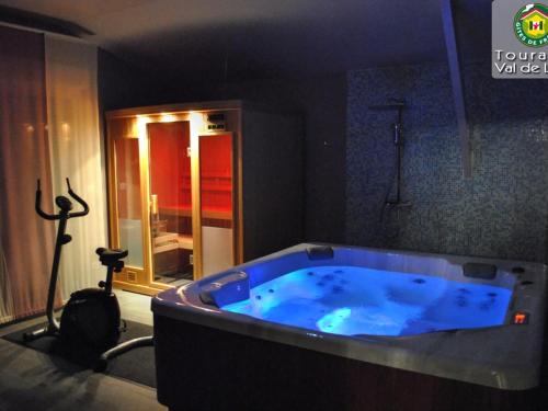 Séjour détente en Touraine : maison de charme avec spa, sauna, fitness, jardin clos et équipements pour bébé - FR-1-381-473