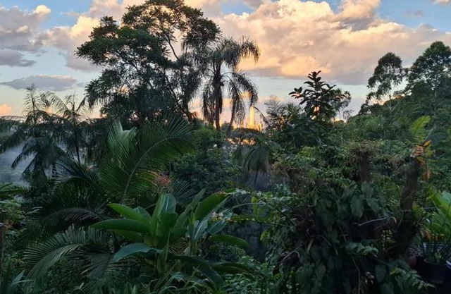 Sítio em BC- só 2km da praia central - perto de tudo