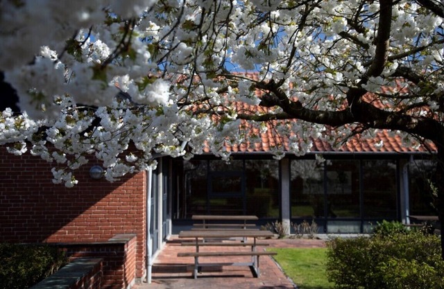Sønderborg City Hostel