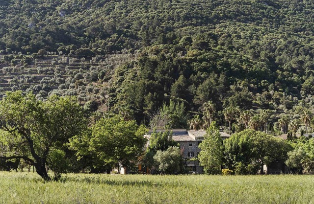 Sa Sinia- Finca in the heart of the Tramuntana