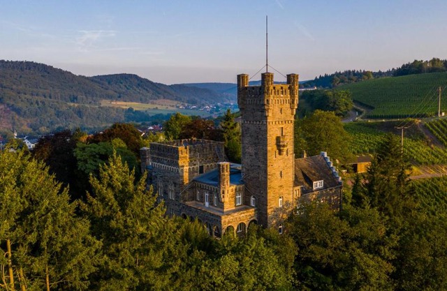 Saar Castle - cozy Mansion near vineyard