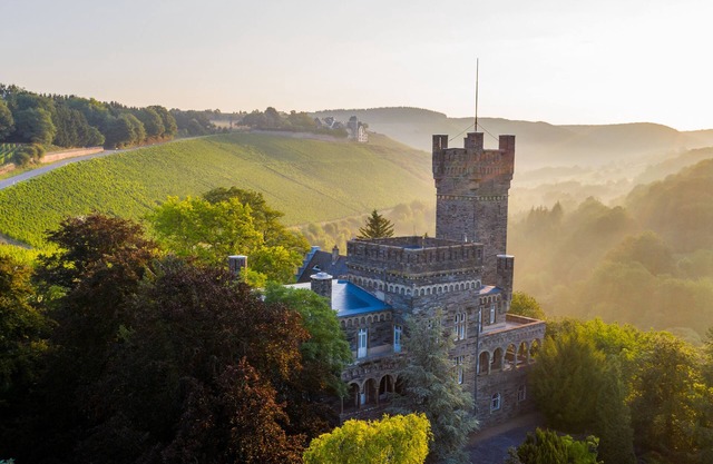 Saar Castle - Unique Castle in Wine Region