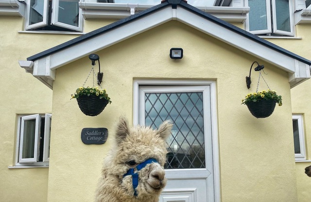 SADDLERS COTTAGE, BERLLANDEG FARM, family friendly in Clunderwen