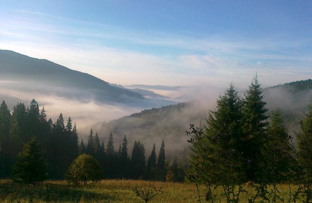 Sadiba Pri Dorogi
