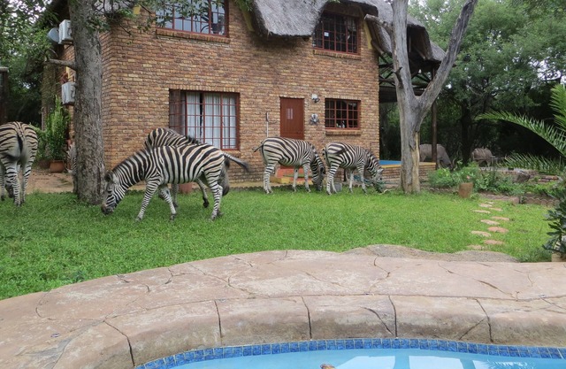Safari in the garden, your private viewing decks. Enjoy the bush and relax!